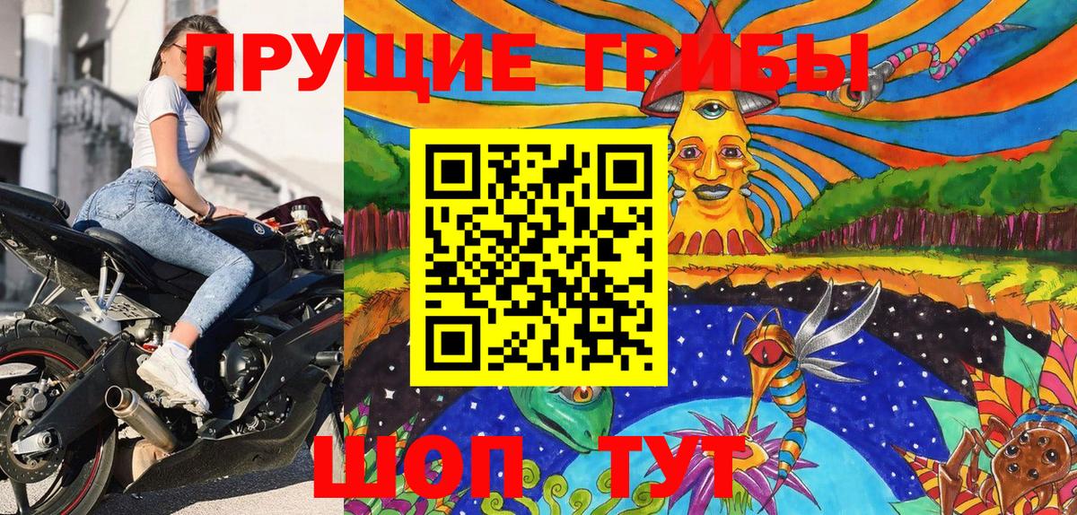 Псилоцибиновые грибы мицелий Астрахань