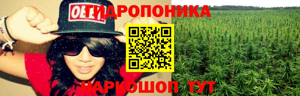 Бошки марихуана конопля  Вход с VPN  Астрахань  Марихуана ГИДРОПОН  Шишки марихуана индика 